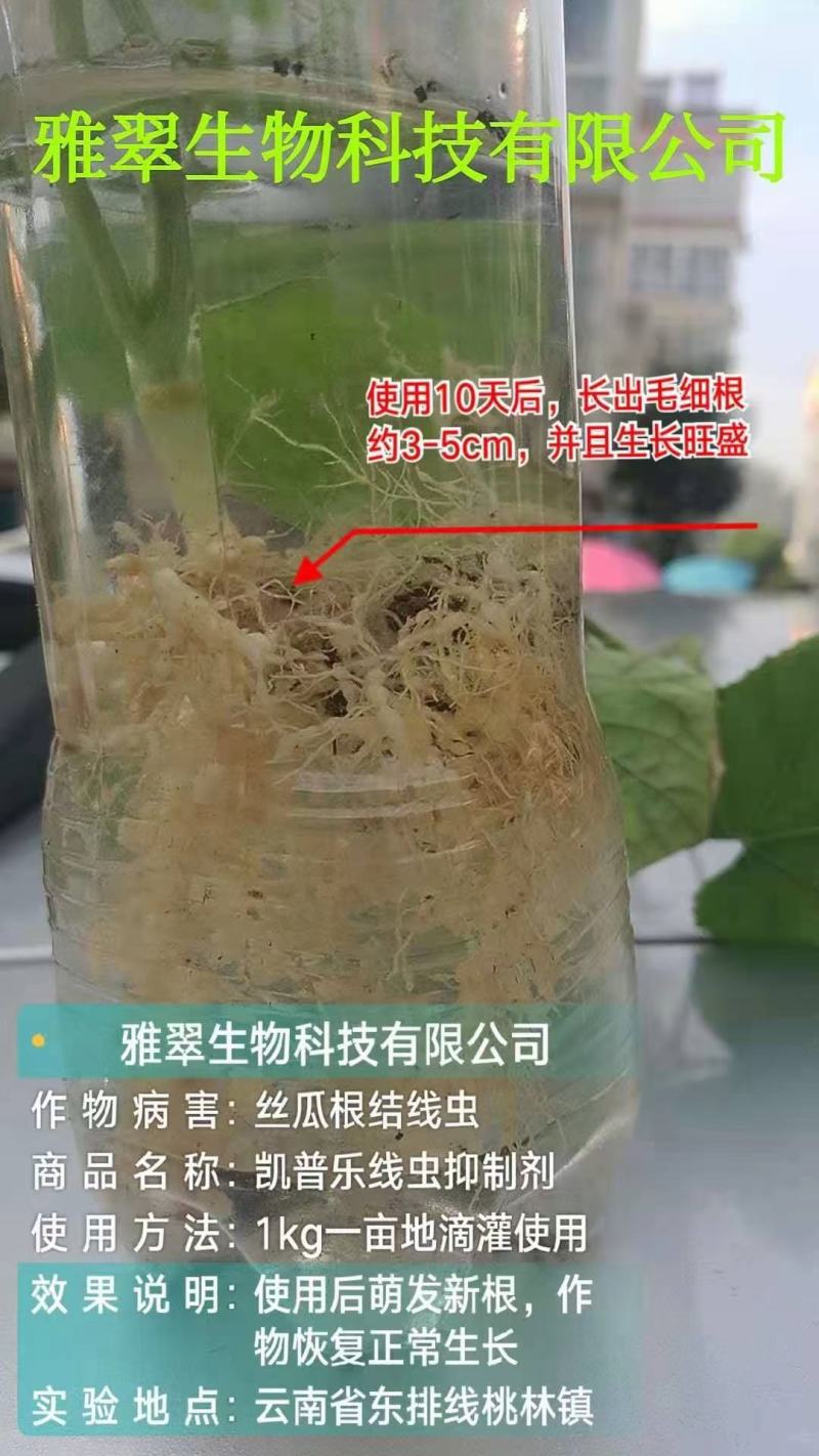 根线康，微生物线虫抑制剂，一袋一公斤，一箱12袋