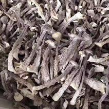 鹿茸菇干菌食用菌鹿茸菇全国发货量大从优