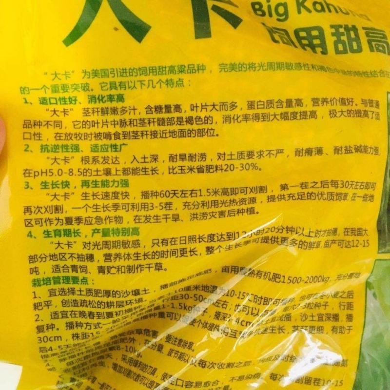 饲用甜高粱，饲用甜高粱种子，大卡饲用甜高粱饲用甜高粱