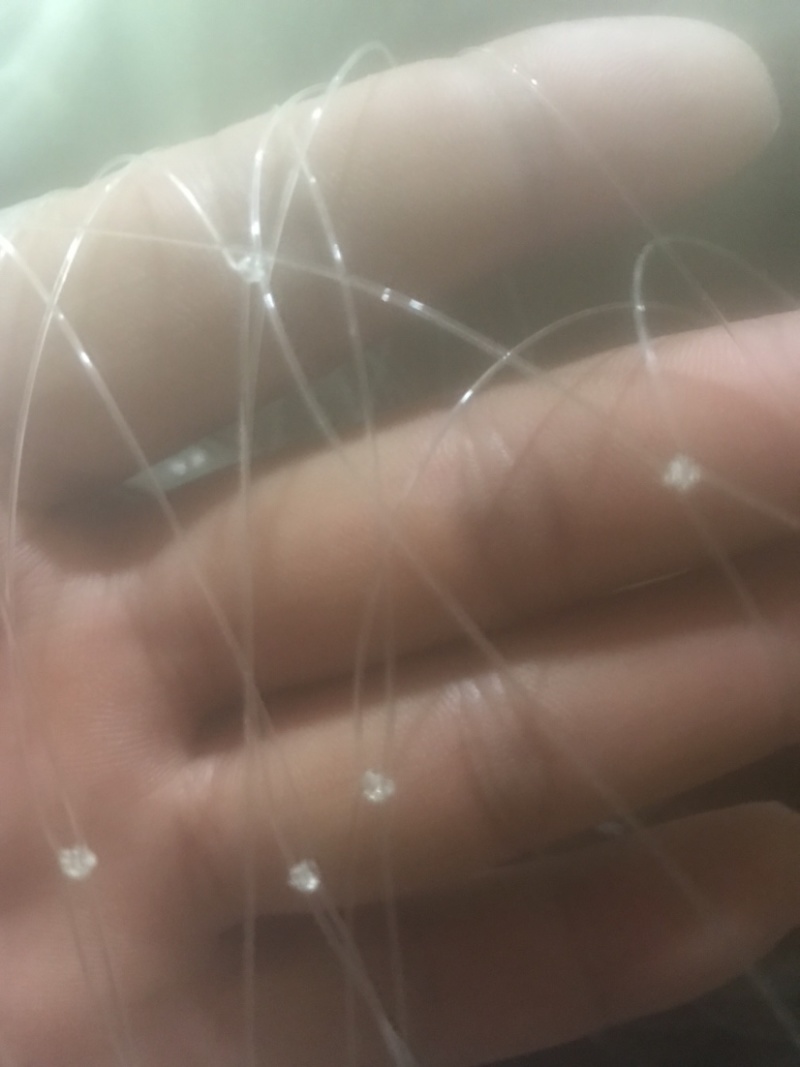 厂家直销包邮1.8孔一次性葡萄园防鸟网稻谷地樱桃园网