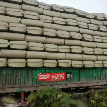 全国各地散装稻壳，压缩稻壳，