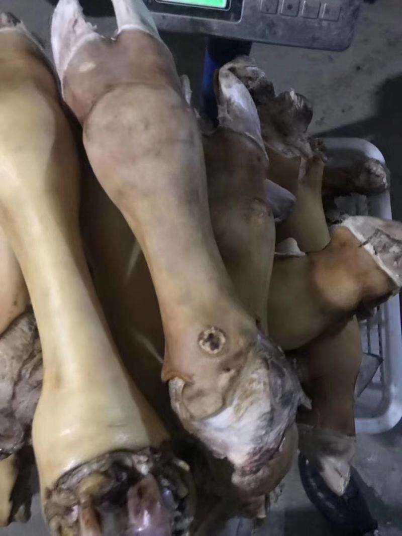 厂家直销，火烧牛蹄，可切片，可根据客户需求定做，价格便宜