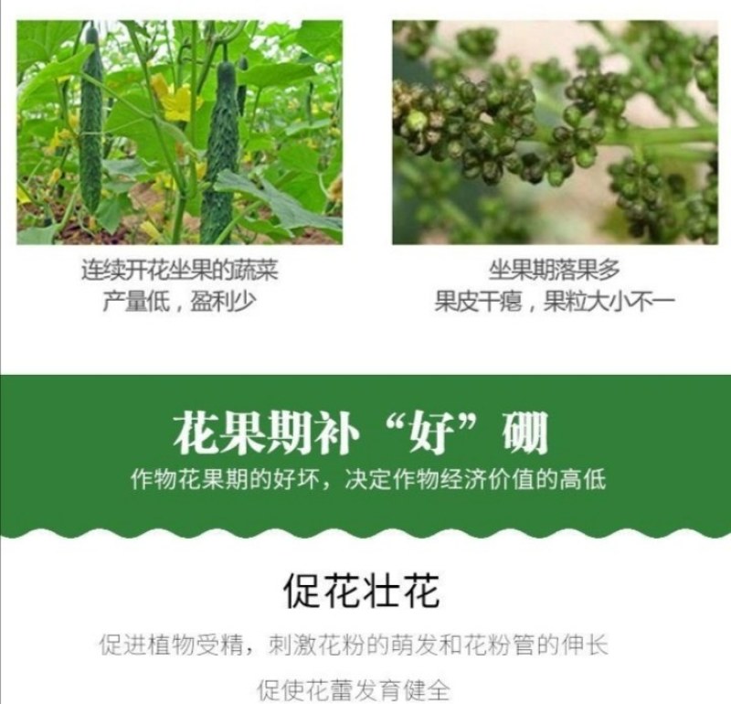 流体硼农用叶面硼肥促花增果叶面肥微量元素硼