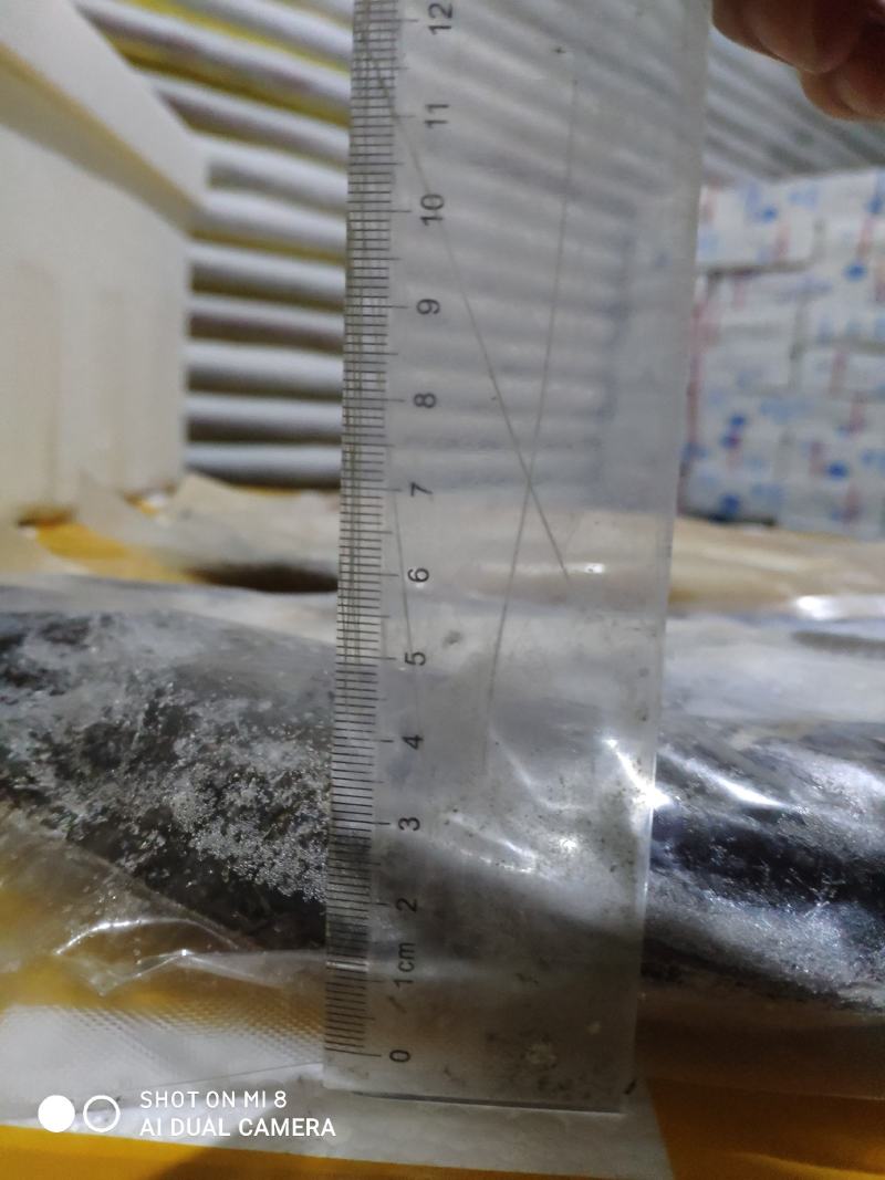免浆巴沙鱼，原产地缅甸湄公河，肉质鲜嫩，刺少