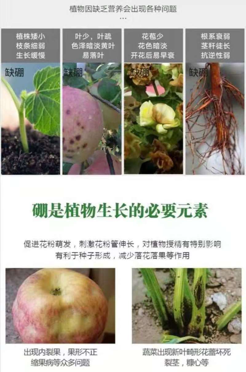 硼肥速溶硼农用保花保果叶面肥通用微量元素硼肥