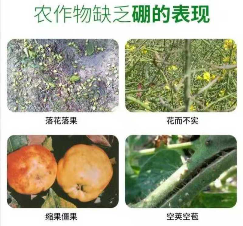 硼肥速溶硼农用保花保果叶面肥通用微量元素硼肥