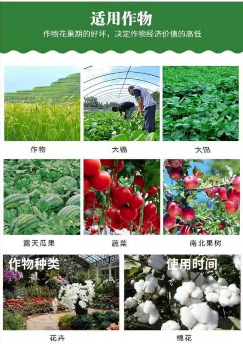 硼肥速溶硼农用保花保果叶面肥通用微量元素硼肥