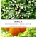 硼肥速溶硼农用保花保果叶面肥通用微量元素硼肥