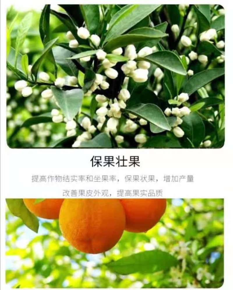 硼肥速溶硼农用保花保果叶面肥通用微量元素硼肥