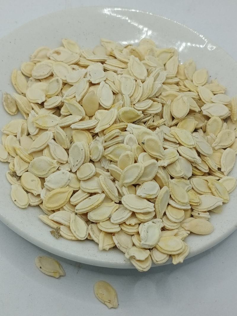 冬瓜子中药材批发冬瓜子