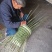 传统手工艺编织竹背篓