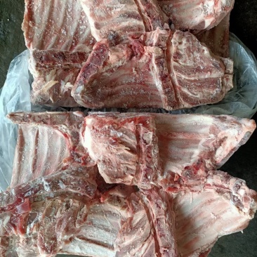 前排无颈前排排骨前肋排多肉排骨