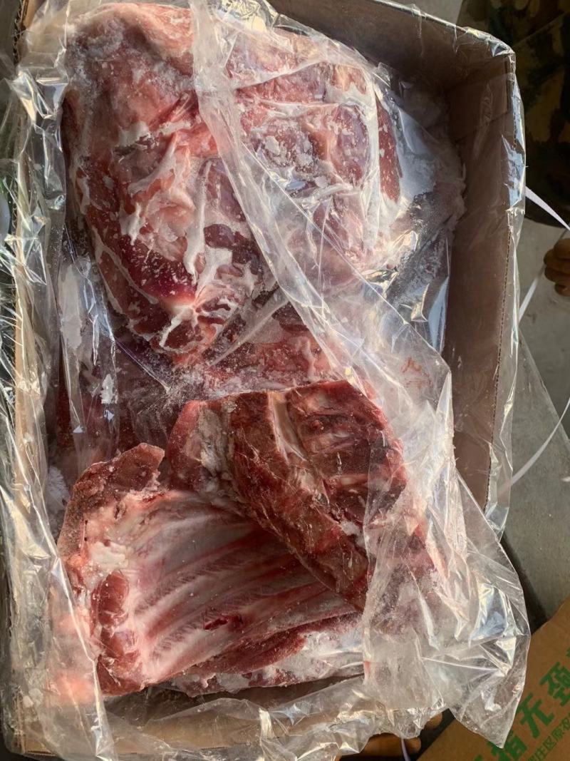 前排无颈前排排骨前肋排多肉排骨