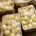 山东甜瓜0.5斤以上，星甜二十甜瓜，精品精品精品