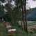 秦岭大山里的土蜂蜜，陕西汉中地区各县。