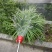高压打药机喷雾器果树高压短枪加厚农用带防风可调雾化保质量