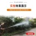 高压打药机喷雾器果树高压短枪加厚农用带防风可调雾化保质量