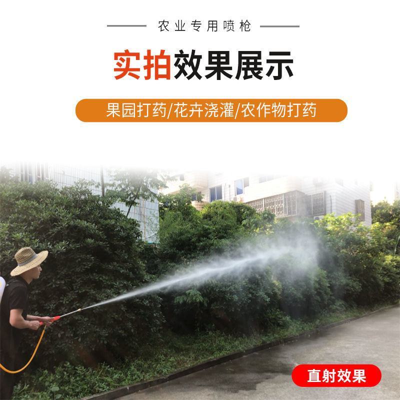 高压打药机喷雾器果树高压短枪加厚农用带防风可调雾化保质量