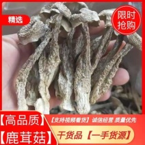 新烤鹿茸菇鹿茸菌食用菌干货酒店食材厂家直销量多从优