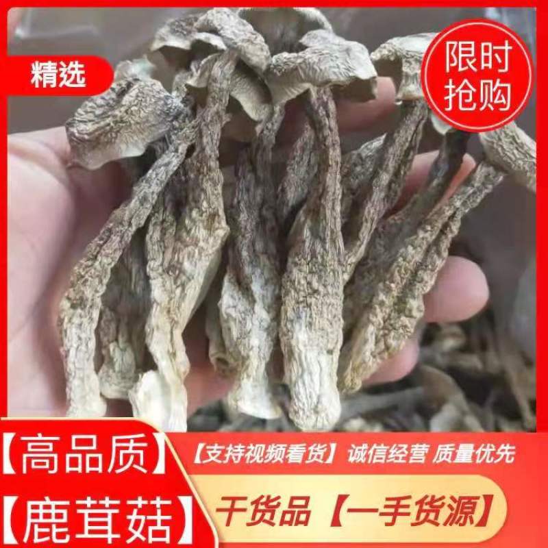 新烤鹿茸菇鹿茸菌食用菌干货酒店食材厂家直销量多从优