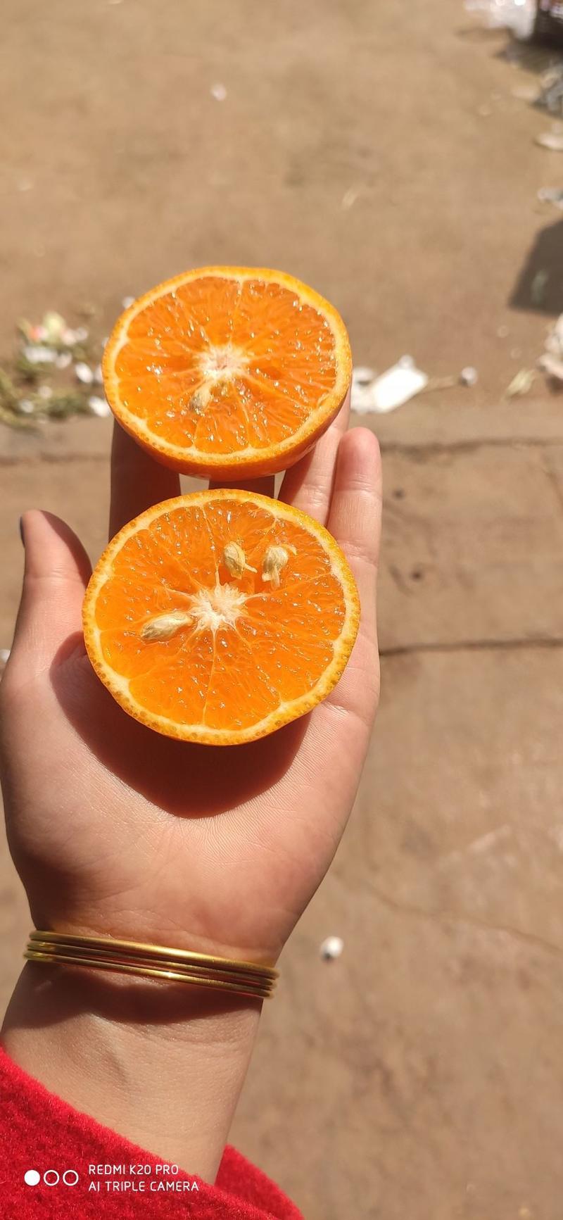 高原沃柑吃一瓣仔细品，有淡淡的橙约起来沃柑
