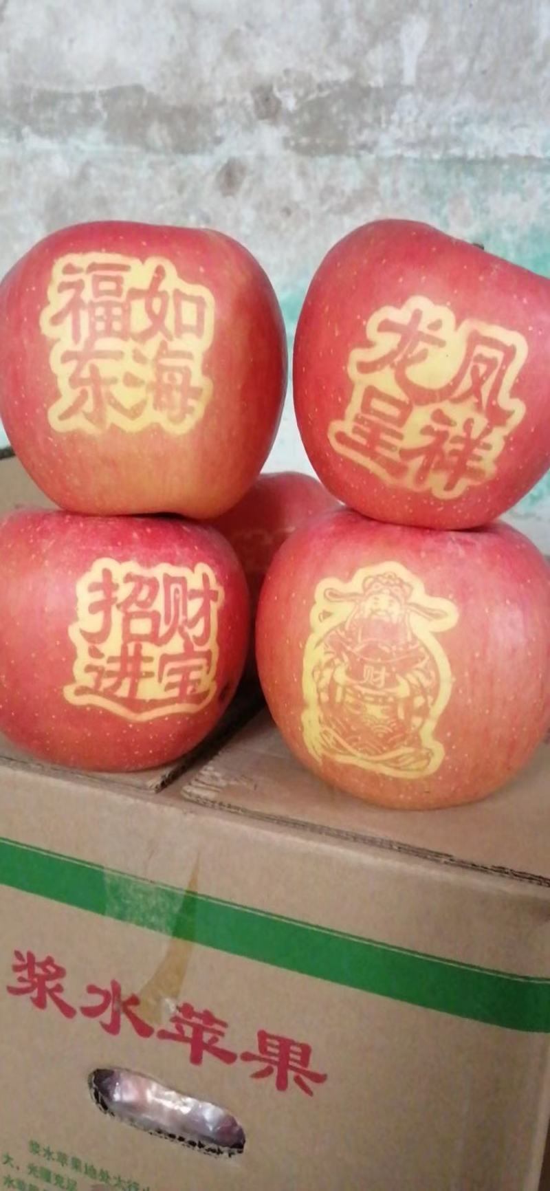 浆水苹果批发外观美丽特别甜