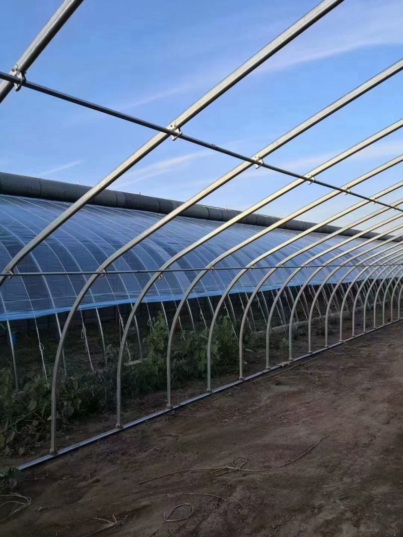 蔬菜大棚大棚骨架大棚管椭圆管镀锌钢管基地直发