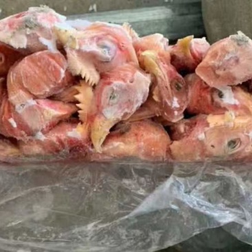 817鸡头纯干鲜货常年供应有意者联系我量大从优，厂家直销
