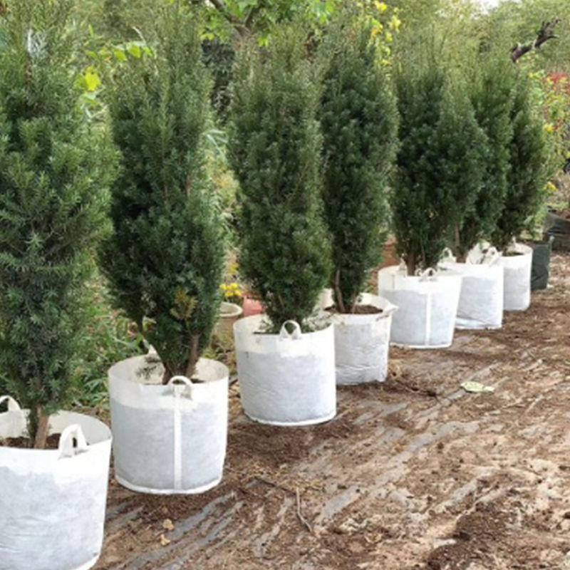 植树袋美植袋无纺布植树袋环保无污染厂家直销全国包邮
