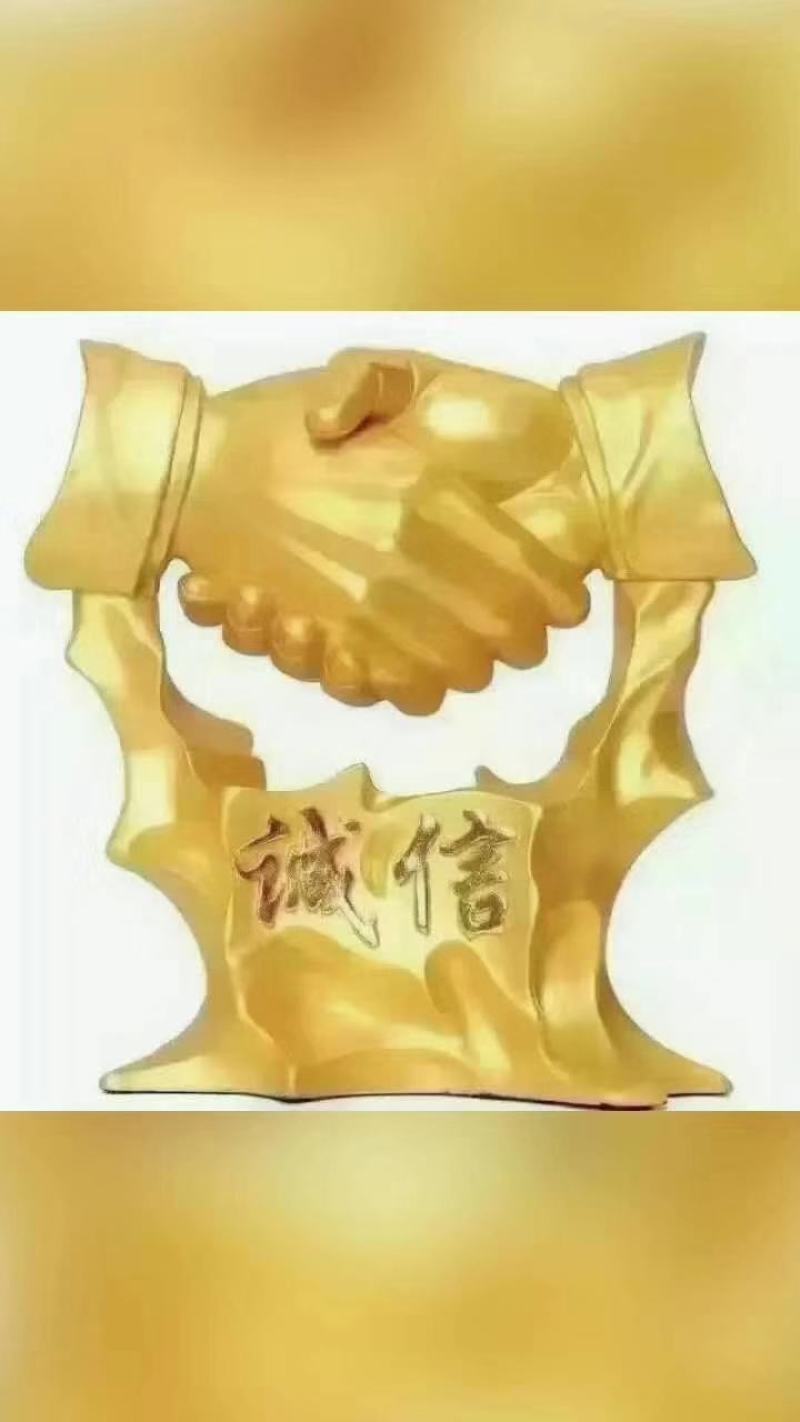 河南精品有机花青梗小米，大量上市发往全国各地