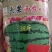 大果西农八号西瓜种子，中熟品种，开花至成熟35天左右，果