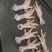 脱骨鸡爪有货纯干不加水