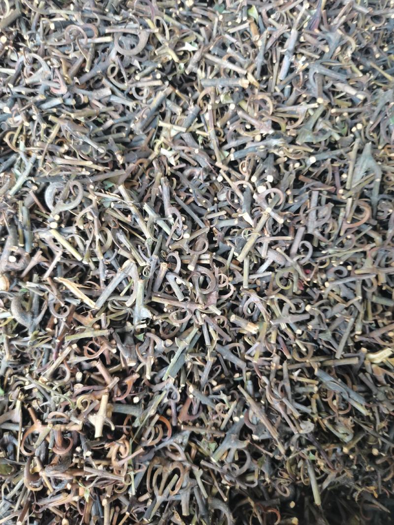 钩藤，钩丁，吊藤，鹰爪风，倒挂刺干货批发