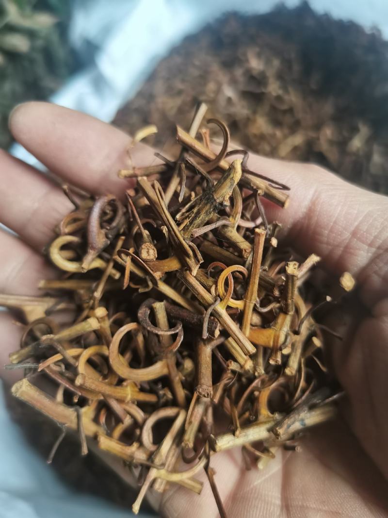钩藤，钩丁，吊藤，鹰爪风，倒挂刺干货批发