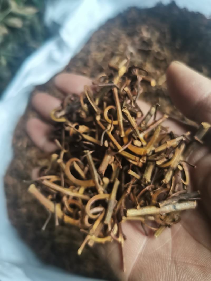 钩藤，钩丁，吊藤，鹰爪风，倒挂刺干货批发