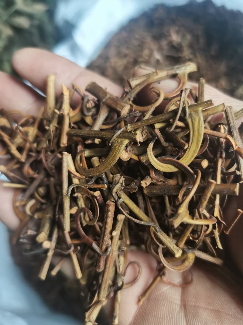 钩藤，钩丁，吊藤，鹰爪风，倒挂刺干货批发