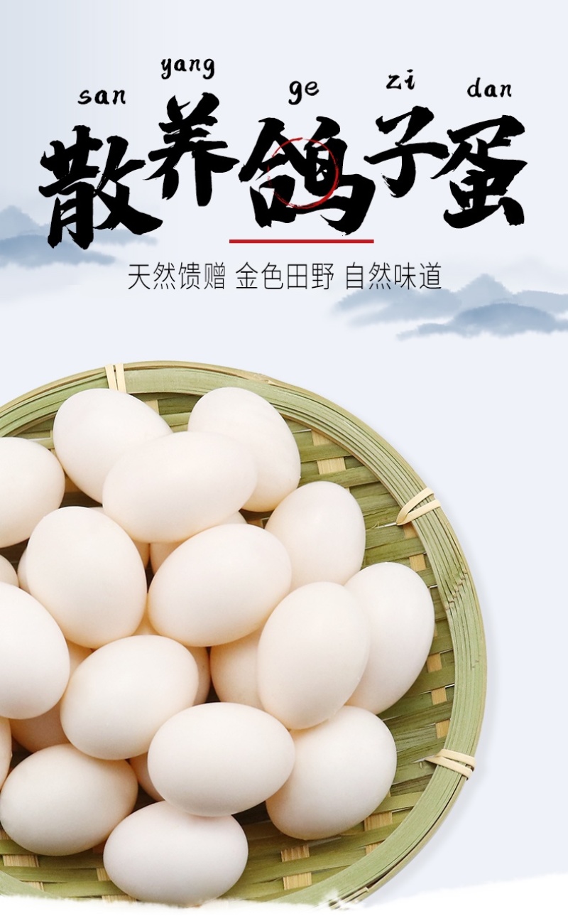 鲜鸽子蛋自家有养鸽场，鸽子蛋是宝宝孕妇老人滋养补品