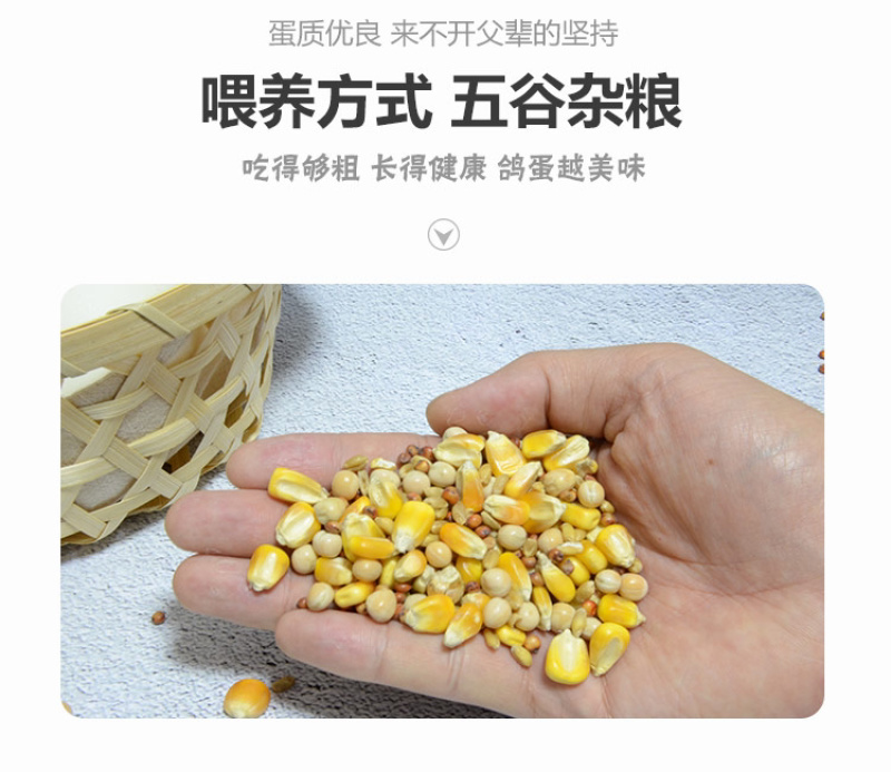 鲜鸽子蛋自家有养鸽场，鸽子蛋是宝宝孕妇老人滋养补品