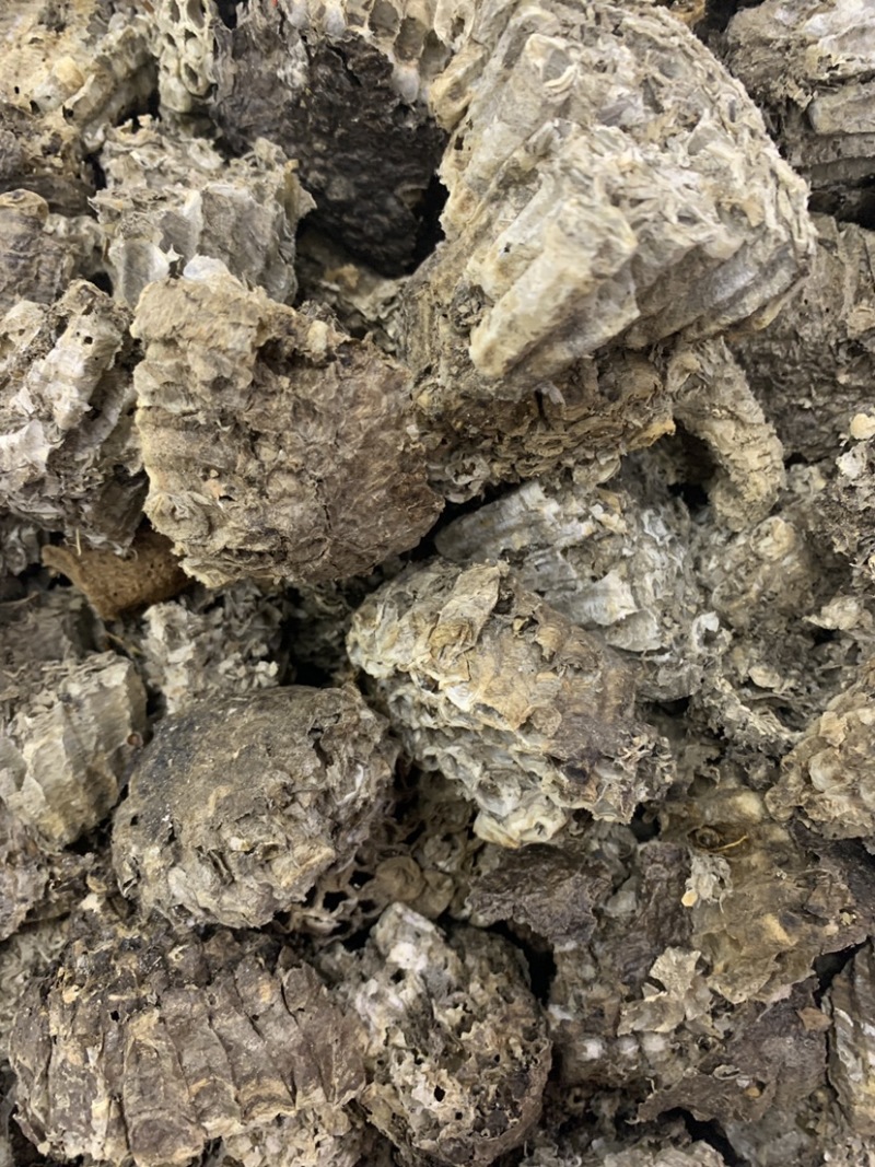 蜂房无硫磺熏蒸一公斤起批蜂房一公斤起批