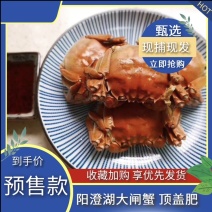 【正宗】正宗阳澄湖镇大闸蟹基地一手货源一件代发