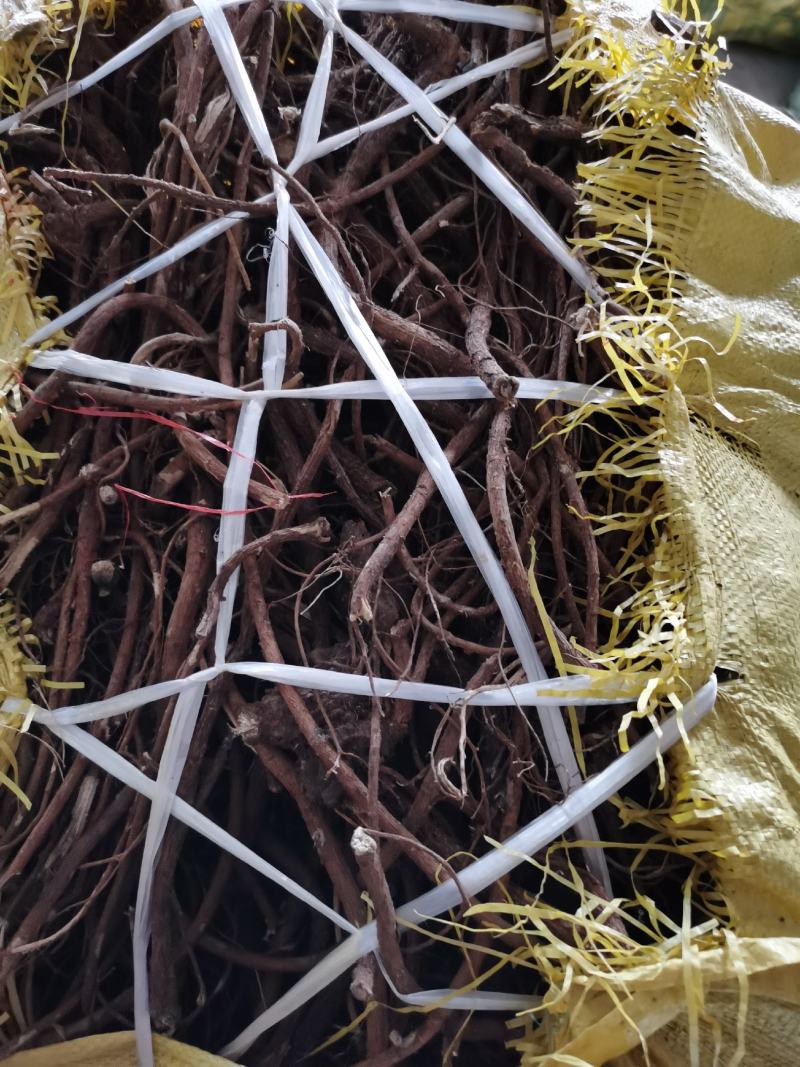 广西十万大山野生山豆根干货