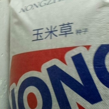 玉米草种子发芽率不低于80%