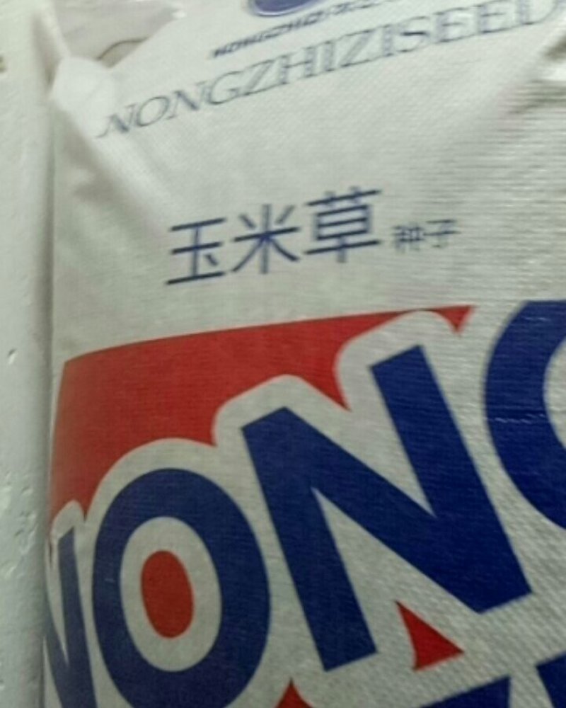 玉米草种子发芽率不低于80%