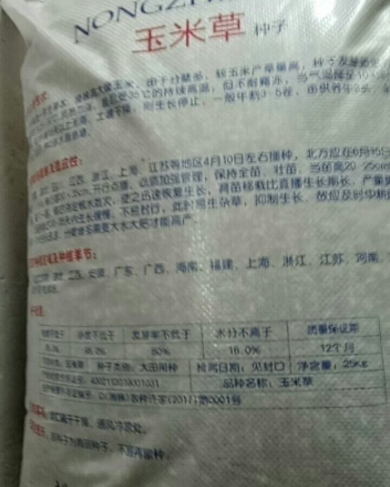 玉米草种子发芽率不低于80%