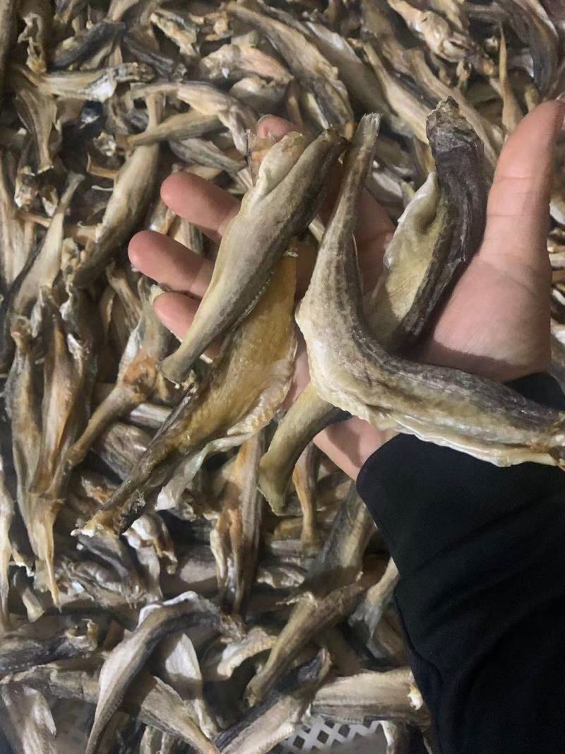 小龙鱼/鱼干，去头去尾去内脏，刚到的，有需要的老板联系！
