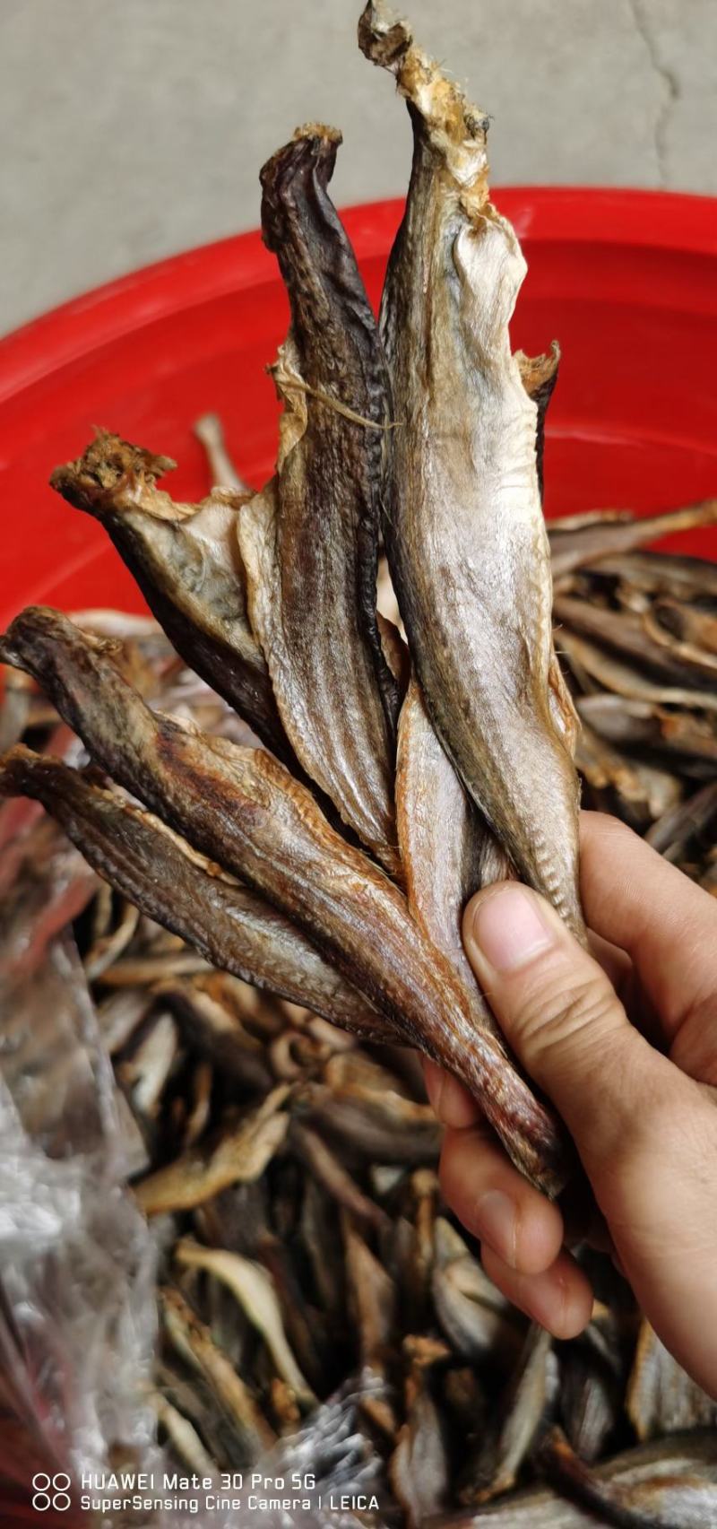小龙鱼/鱼干，去头去尾去内脏，刚到的，有需要的老板联系！