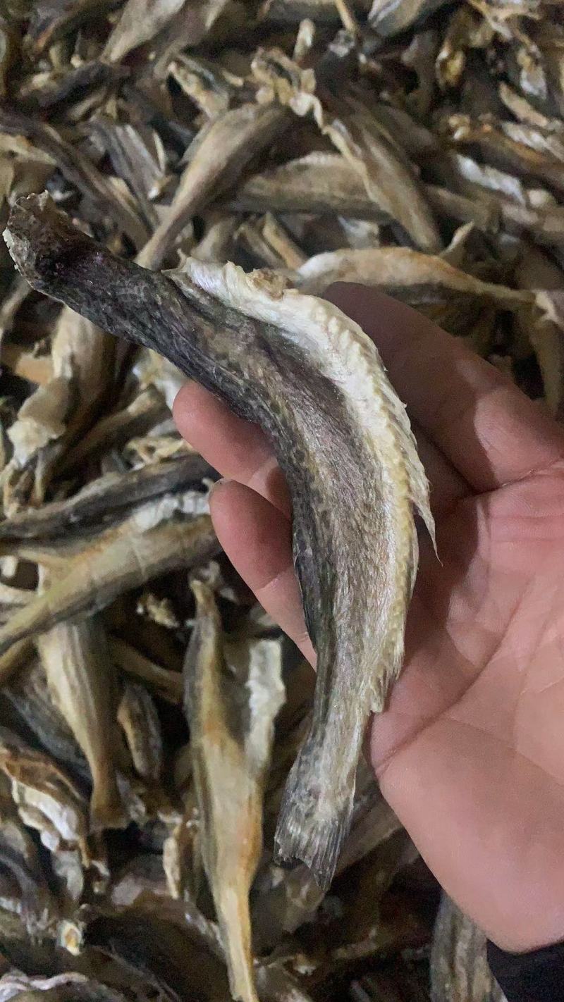 小龙鱼/鱼干，去头去尾去内脏，刚到的，有需要的老板联系！