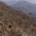 首乌片野生可化验乌发熬汤喝泡茶5斤起批货真价实