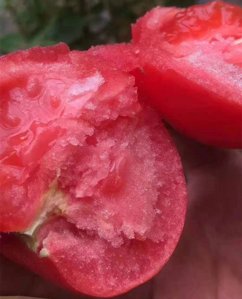 普罗旺斯沙瓤西红柿整车代发电商微商团购代发