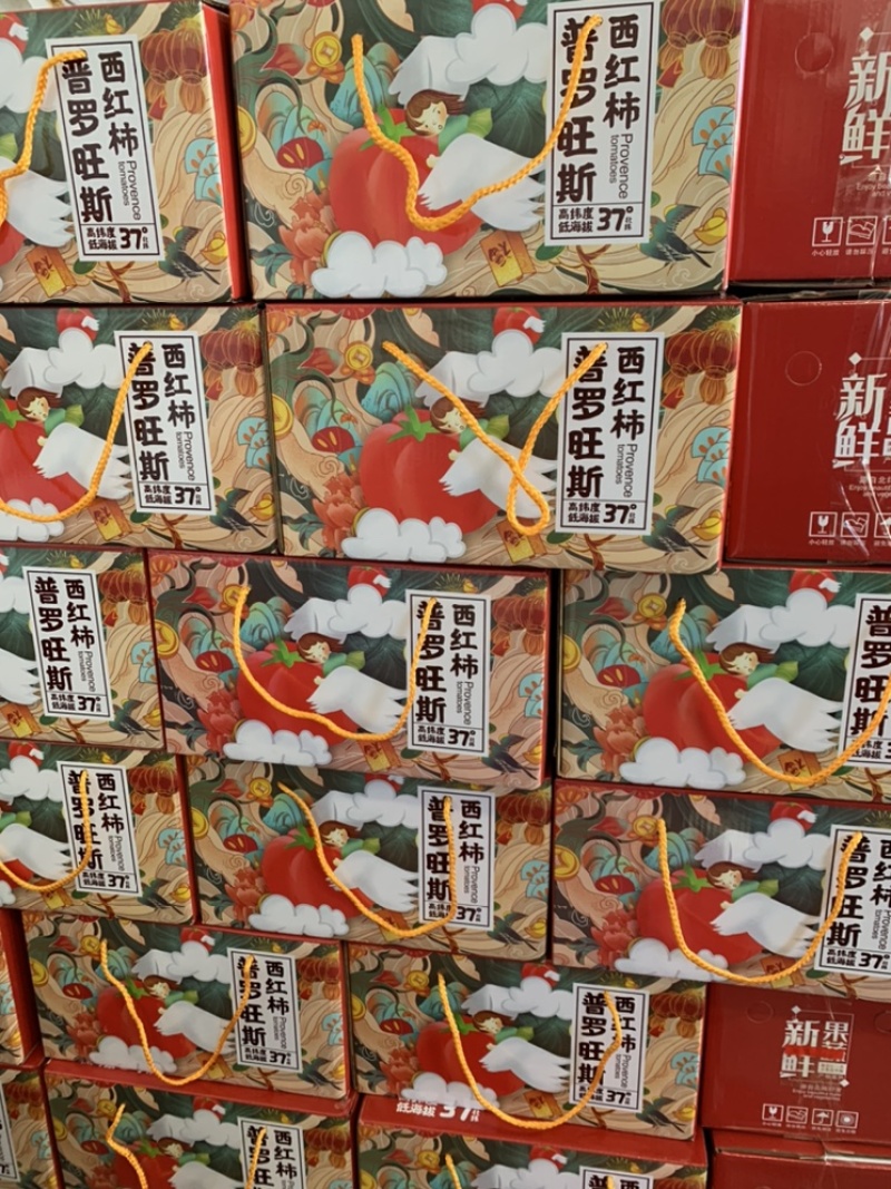 【精品】海阳西红柿普罗旺斯番茄整车落地配全国发货